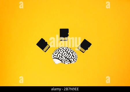 Human brain model lying close to three micro SD cards on yellow background. Top front view. Computer assisted education concept. Stock Photo
