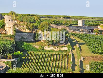 vineyards in the city of Saint-Emilion, Gironde, Nouvelle Aquitaine, France Stock Photo