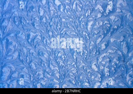 Interwoven branches of a winter pattern on glass. Drawing on a frozen window. Horizontal. Stock Photo