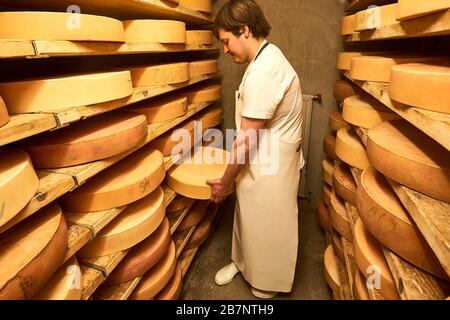 The cheeser controlls a wheel of cheese in the storage of his cheese diary. Stock Photo