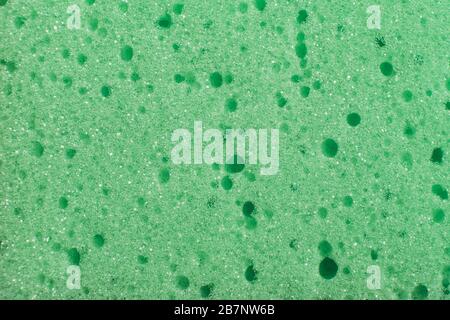 Sponge texture background. Stock Photo