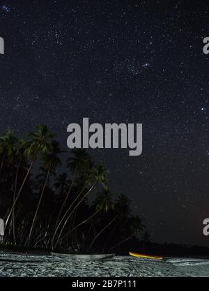 thousands of stars above pristine beach filled with palms in Kei kecil, Maluku, eastern Indonesia Stock Photo