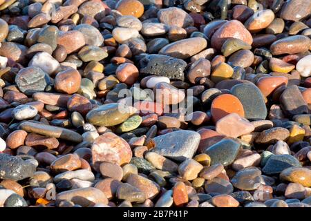 A close up abstract shot of a bank of colourful wet pebbles on the beach, lit by warm, late afternoon sunshine. Stock Photo