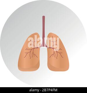 Lung cancer diagram in detail illustration. Lung Anatomy Vector Lung, icon, Human Lungs System Stock Vector