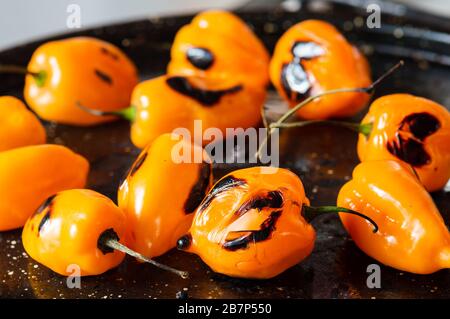 Yucatan habanero salsa tamulado, charring habanero chili peppers to make spicy sauce Stock Photo