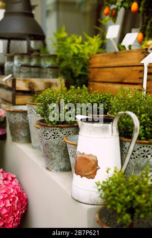 Decorative vintage metal cage with table and chairs arranged with retro pots and statuettes placed on terrace Stock Photo
