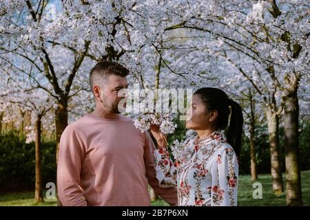 Couple relax in the park during Spring in Amsterdam Netherlands, blooming cherry blossom tree in Amsterdam, men and woman walk in park forest during