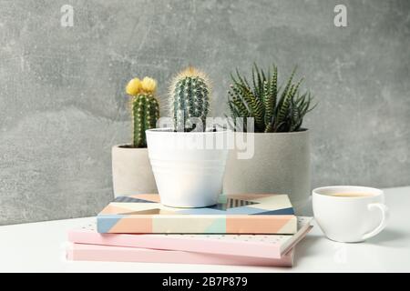 Succulent plants, coffee and notebooks against grey background. Houseplants Stock Photo