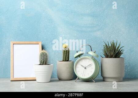 Succulent plants, clock and frame against blue background, space for text Stock Photo