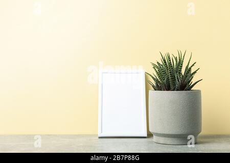 Succulent plant and empty frame against beige background, space for text Stock Photo