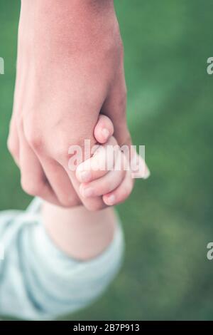 Closeup of crop anonymous female holding hand of little kid while standing together on green grass in summer day in park Stock Photo