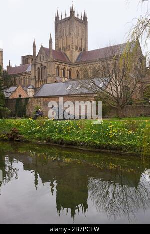 a springtime view of Wells Cathedral with its reflection in the ponds as seen from within the grounds of the Bishops Palace. Somerset England, UK Stock Photo