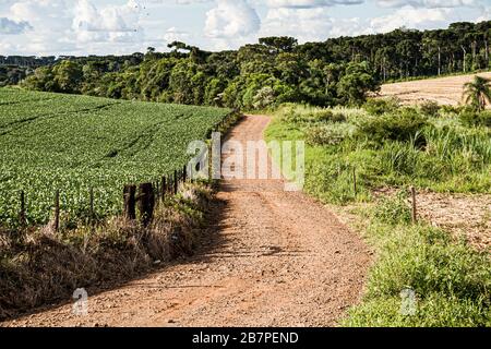 Cunhataí Santa Catarina fonte: l450v.alamy.com