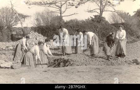 WW1 era postcard of group of women land girls, doing war work - building a farm track, circa 1916, U.K.