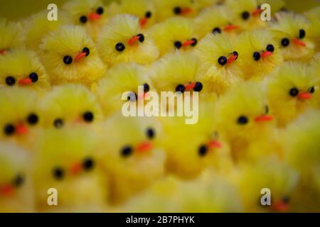Many yellow, plastic chickens in a row at the supermarket with black eyes and orange beak Stock Photo