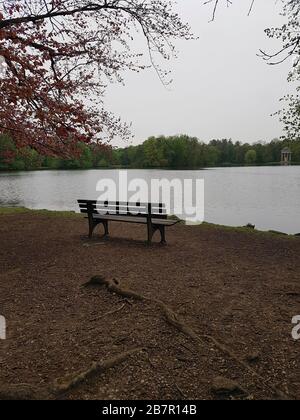 Bench near the lake on a cloudy day in spring. Empty wooden bench near the pond. Stock Photo