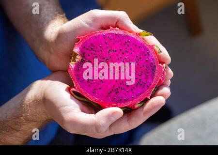 Pitahaya dragon fruit in male hands. Multiple red dragon fruit Tropical fruit red pitahaya. Stock Photo