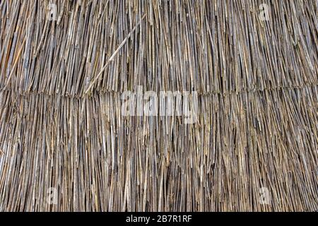 Abstract Background Texture Of A Thatched Roof, Thatch or Thatching Stock Photo