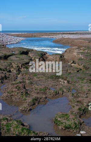 Water flooding out of the Porlock Bay Salt Marshes and running down to the sea at low tide. Near Porlock Weir in the Exmoor National Park. Stock Photo