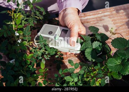 Modern portable device for measuring the chlorophyll and nitrogen content in plant leaves Stock Photo