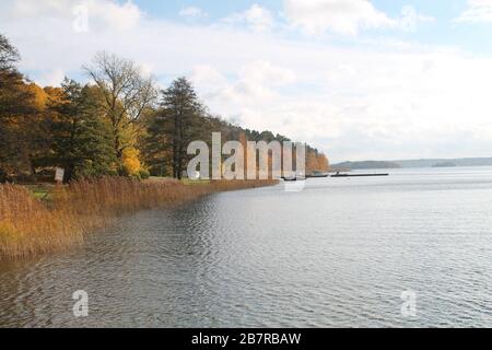 Long shot of a beautiful lake shore lined with autumn tress under a cloudy sky Stock Photo