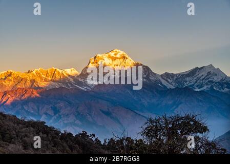 Majestic view of sunset sweeping through Dhaulagiri mountain range from Poon Hill, Ghorepani, Nepal Stock Photo