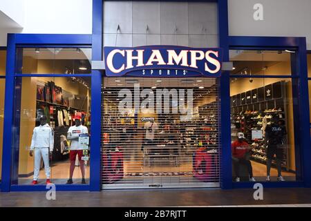 Shop Champs Shoe Store In The Mall