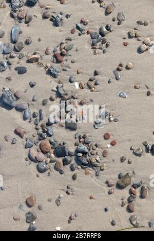 Sandy bottom on the seashore with pebbles and shells as a background Stock Photo