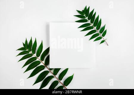 Creative Leaves Layout With Paper or Greeting Card on Light Background. Minimal Nature Concept. Flat lay. Copy Space.