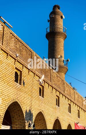Iraq, Iraqi Kurdistan, Arbil, Erbil. next to the park Shar stands the tower of the mosque. Birds are flying by. Stock Photo