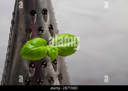 Basil leaveson a desk with a notebook for recipes and notes a composition with negative space a background for advertsing Stock Photo
