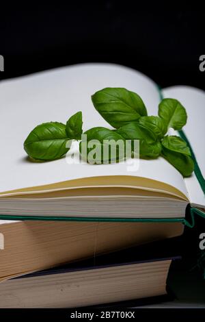 Basil leaveson a desk with a notebook for recipes and notes a composition with negative space a background for advertsing Stock Photo