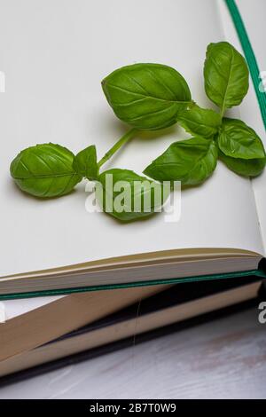 Basil leaveson a desk with a notebook for recipes and notes a composition with negative space a background for advertsing Stock Photo