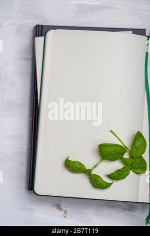 Basil leaveson a desk with a notebook for recipes and notes a composition with negative space a background for advertsing Stock Photo