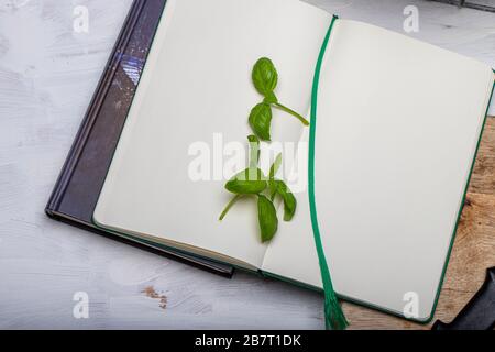 Basil leaveson a desk with a notebook for recipes and notes a composition with negative space a background for advertsing Stock Photo
