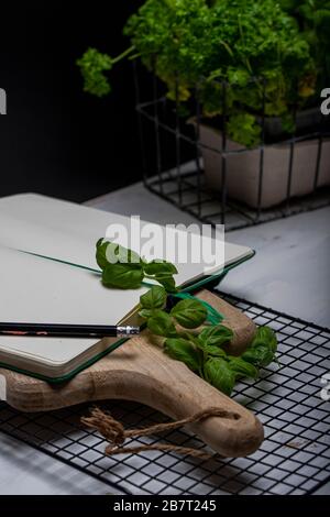 Basil leaveson a desk with a notebook for recipes and notes a composition with negative space a background for advertsing Stock Photo