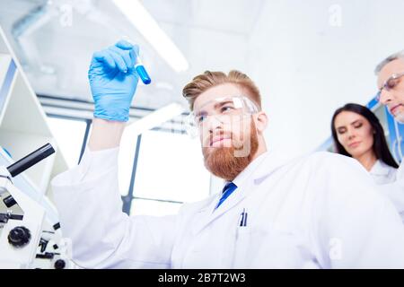 Close up portrait of young handsome red bearded stylish focused researcher, who is looking at the blue fluid in the lab tube, wearing gloves and Stock Photo