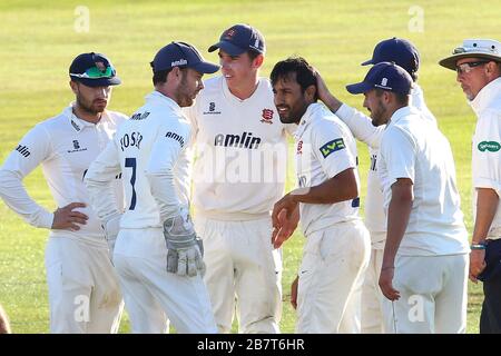 Ravi Bopara of Essex is congratulated by his team mates after taking the wicket of Chesney Hughes Stock Photo