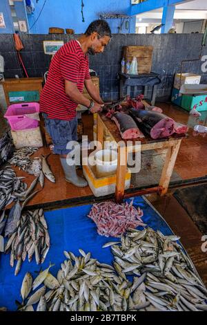 Trincomalee, Sri Lanka - February 2020: Fish sellers at the Trincomalee market on February 16, 2020 in Trincomalee, Sri Lanka. Stock Photo