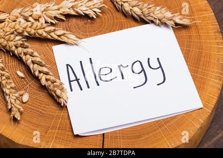 Wheat ears on wooden board and paper with text Allergy. Stock Photo