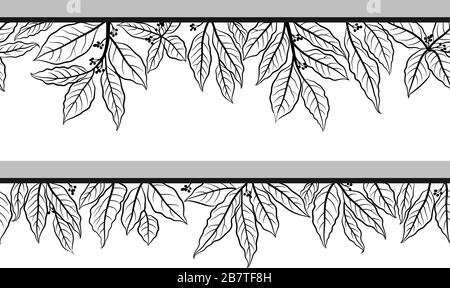 Leaves Contours Seamless Stock Vector