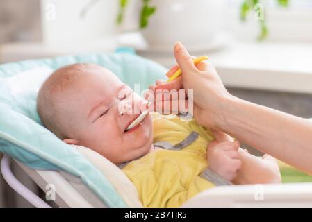 Mom feeds baby vegetable puree in a high chair. The toddler refuses to eat from the spoon and squints. The infant doesn't want to nutrition. Stock Photo