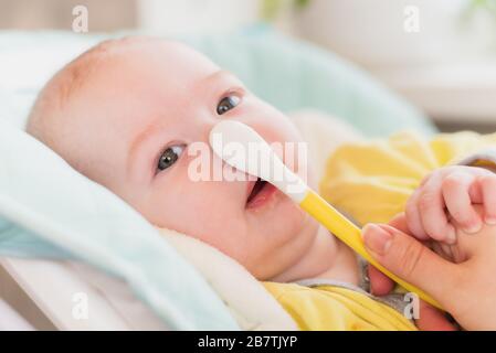 Introduction of complementary foods. The baby will eat children's mashed. Infant with a spoon in a high chair for feeding. Stock Photo