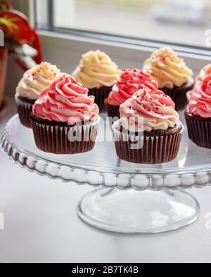 chocolate muffins with a hat of pink and white cream Stock Photo