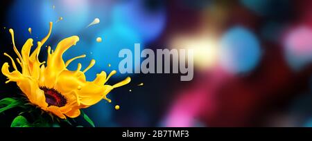 Splashing petals of a liquid sunflower with colorful light bokeh background. Stock Photo