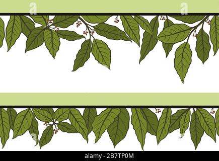 Laurel Bay Leaf, Seamless Stock Vector