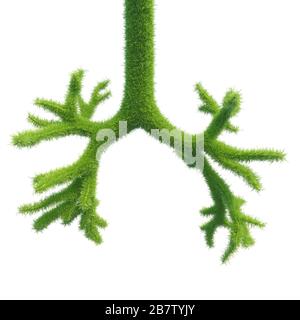 Human bronchi in the form of green fresh grass. An integral part of the lung. 3d rendering. Stock Photo