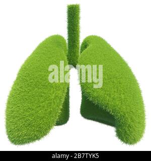 Human lungs in the form of green fresh grass. Symbol of healthy lungs. 3d rendering. Stock Photo