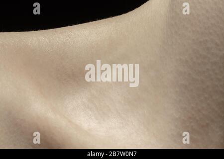 Collarbones. Detailed texture of human skin. Close up shot of young ...