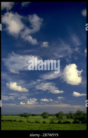 Corpus Christi, Texas USA: Variety of clouds dot blue sky above the South Texas Plains near the Gulf of Mexico.  ©Bob Daemmrich Stock Photo